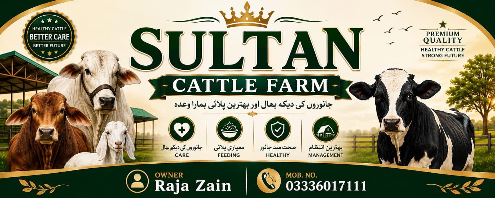 Sultan Cattle Farm — healthy cattle and goats